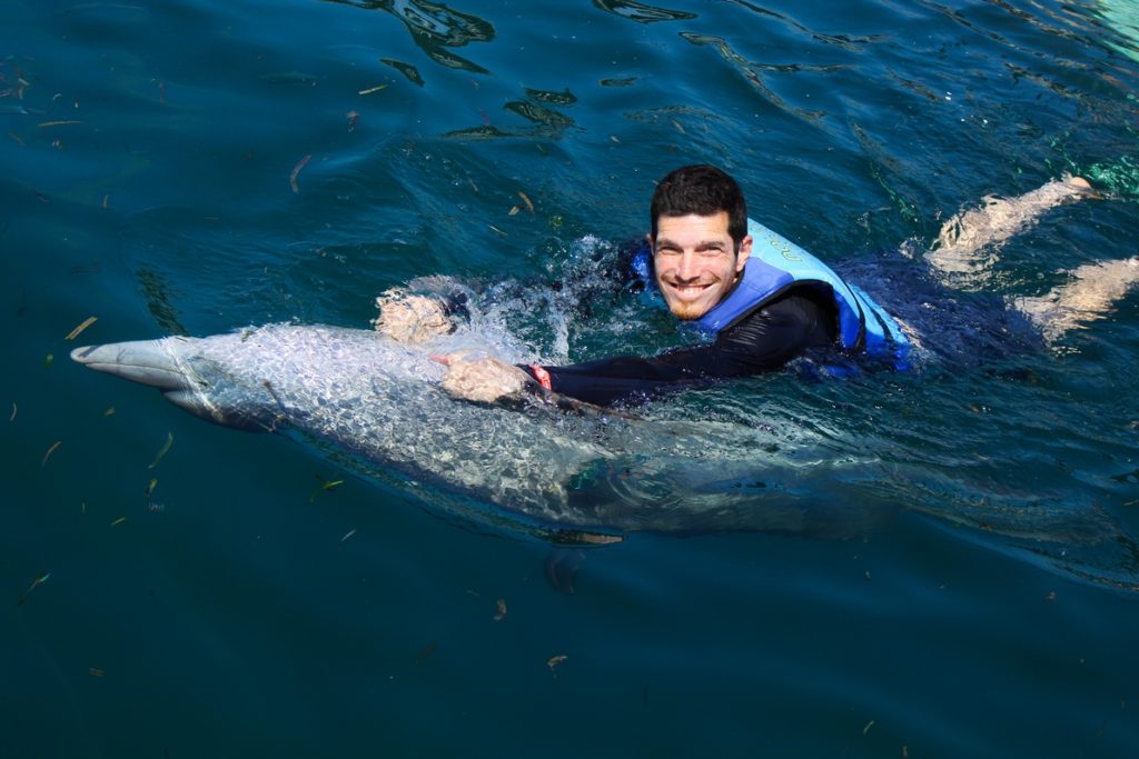 Nager avec les dauphins  Bali  Dolphin  Lodge Sanur  