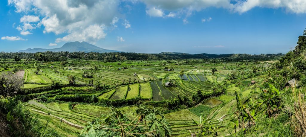 Vue panoramique entre rizières & volcans