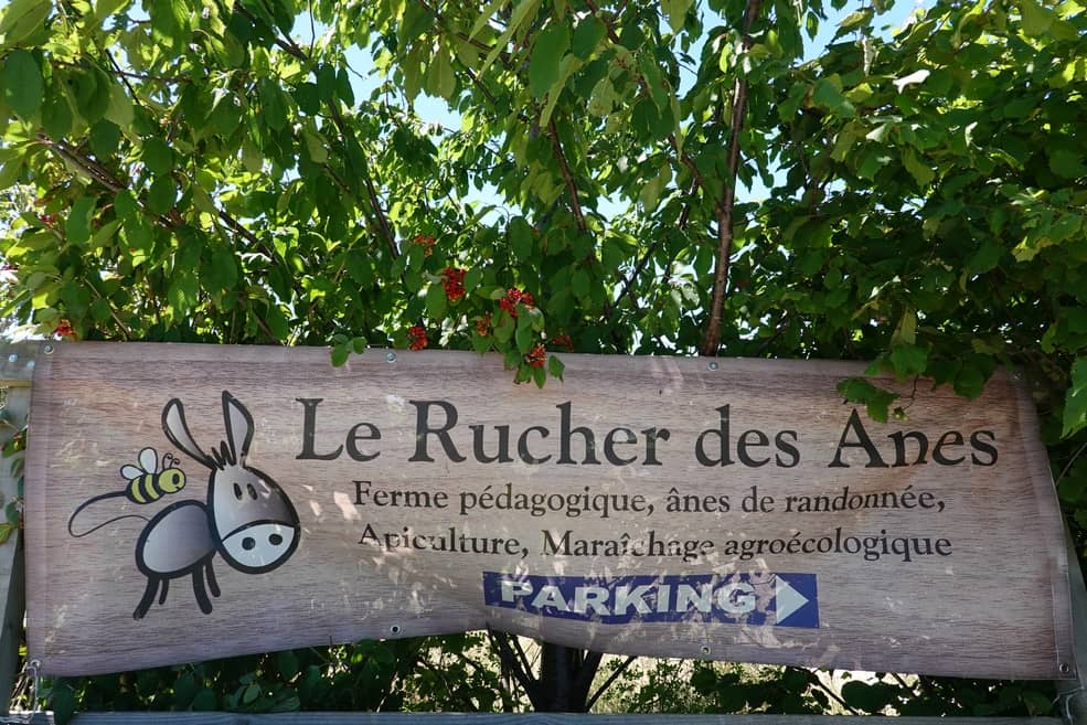 Rucher des Ânes - Rieux-Volvestre - Haute-Garonne (31)