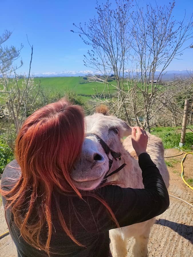 Séance de câlinothérapie avec démonstration de Florence - Rucher des ânes